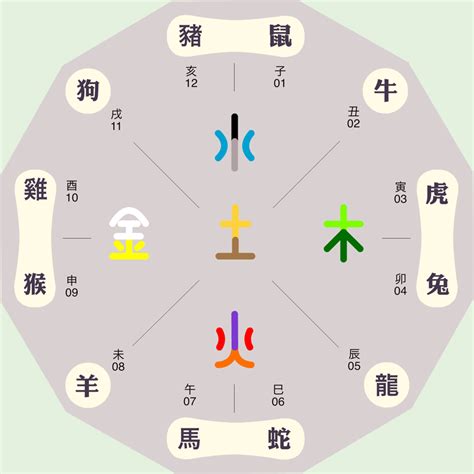 癸酉年五行|癸酉年是什么意思 癸酉年五行属什么